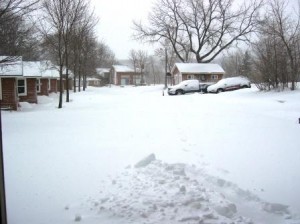 Norht view of resort and cabins