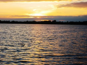 2 ducks in the sunset at 8:53