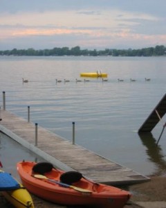Geese visiting Dickerson's Resort