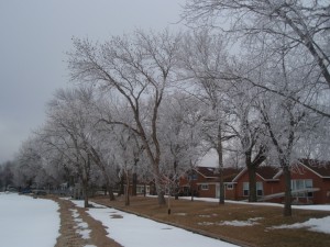 Resort cabins and beach