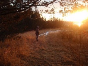 walking up the hill