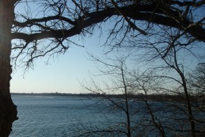 Lake Florida