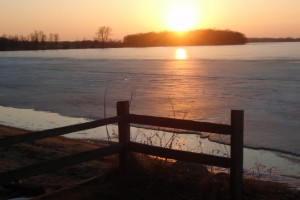 sunset with fence