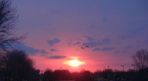 sunset