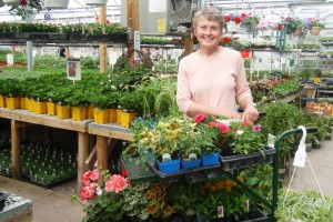 connie in greenhouse