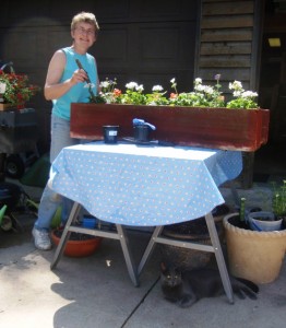 planting flowers
