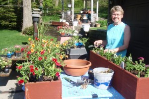 cabin flower boxes