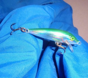 fishing lure