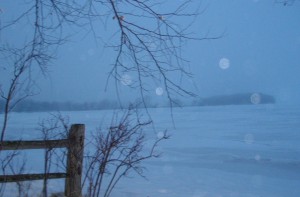 foggy lake