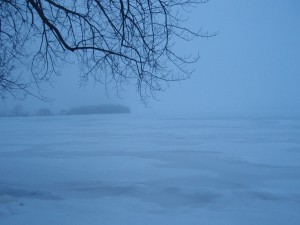foggy lake