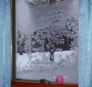 frost on window