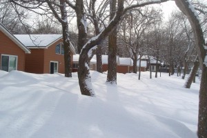 cabins & snow