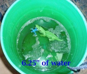 pail of water