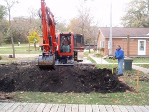 Digging tree roots