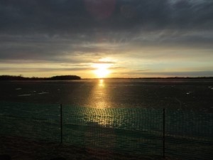 sunset